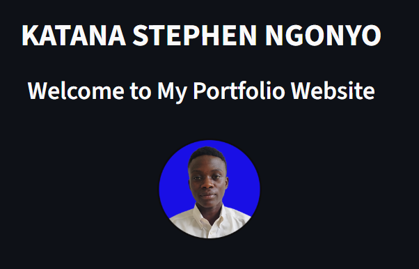 Portfolio Icon